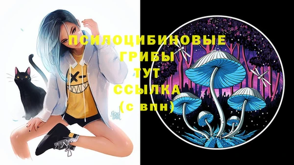 MDMA Premium VHQ Абинск