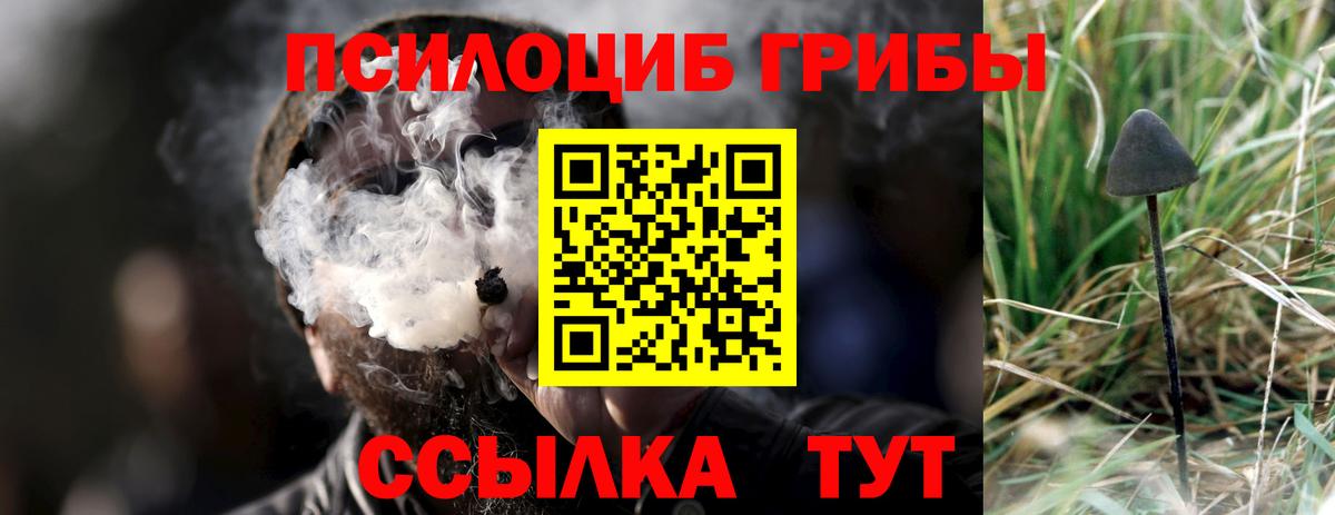 Сарапул  Псилоцибиновые грибы мицелий  Псилоцибиновые грибы мухоморы  Вход с VPN 